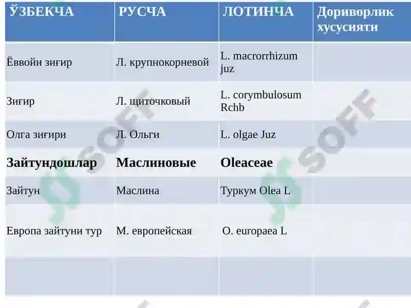 Толали доривор ўсимликлари 5