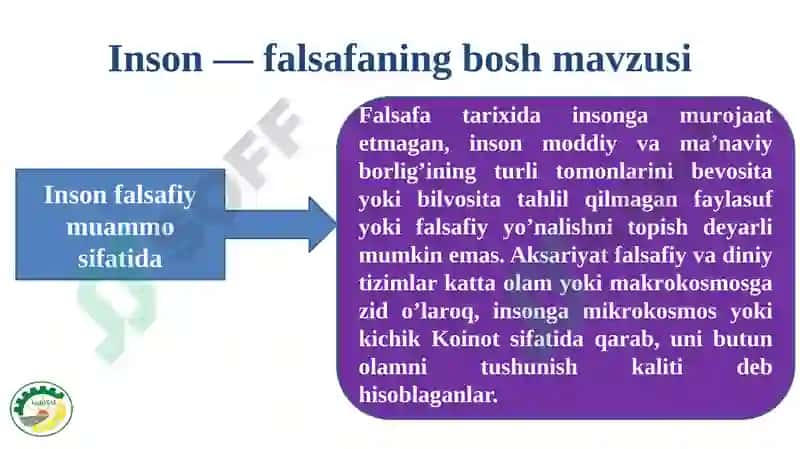 INSON FALSAFASI 5