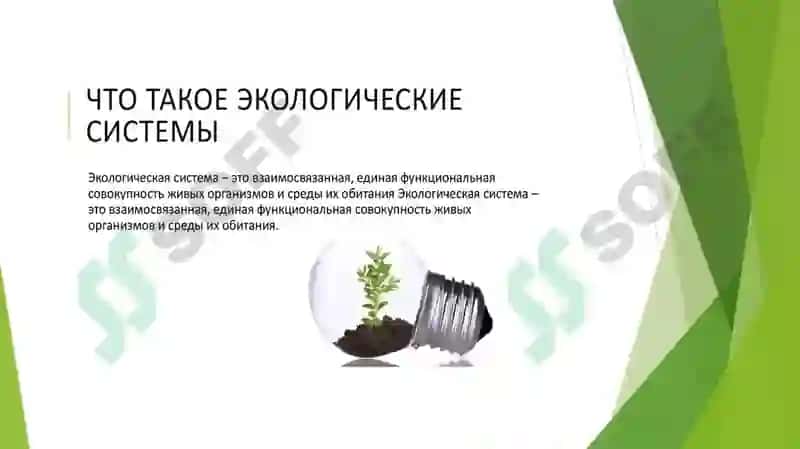 Химия и экология 5