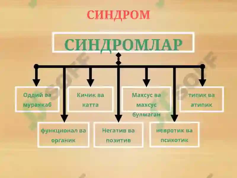 Асосий психопатологик синдромлар. Рухий касалликларнинг таснифи.ppt 5
