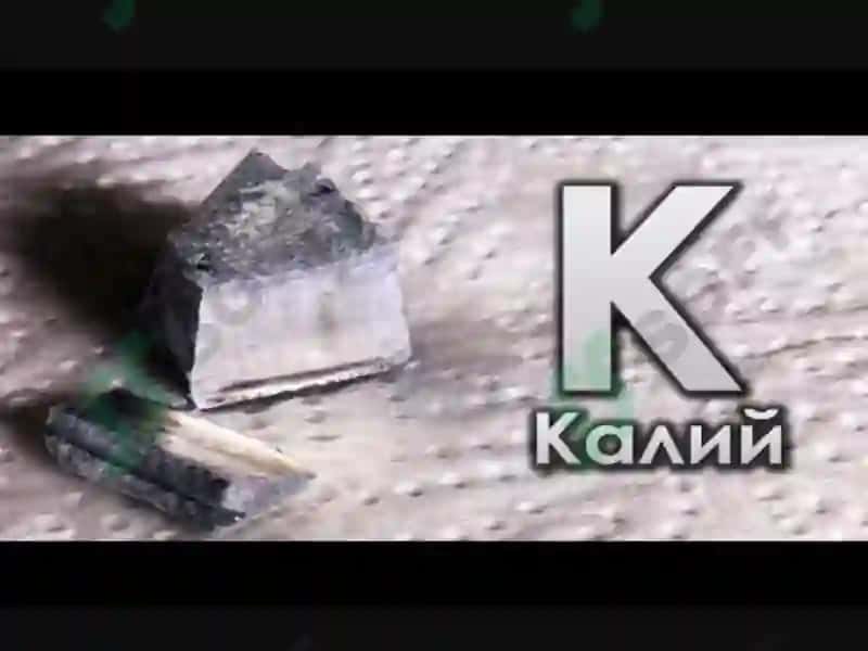 Kaliy elementini tirik organizimdagi ahamiyati 5