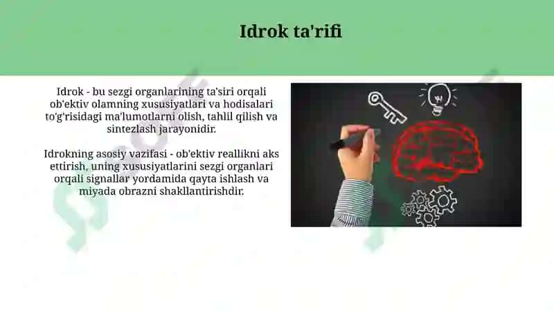 Sezgi va idrok: farqi, oʻzaro bogʻliqligi 5