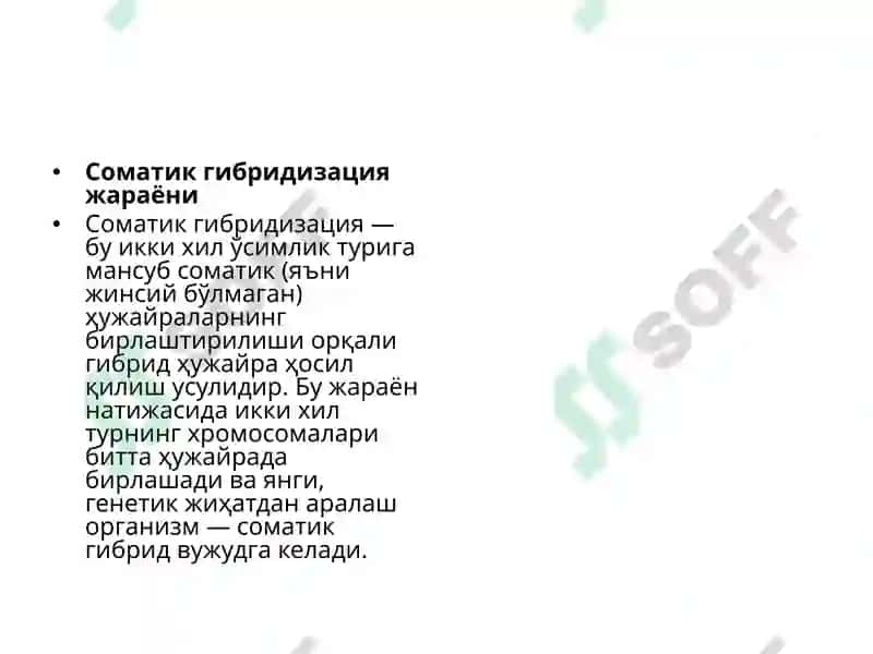 Якка ҳужайралар культураси 5