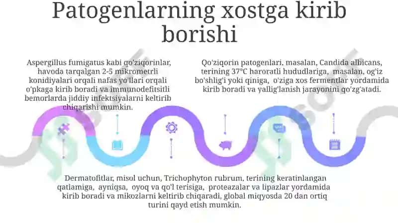 Zambarung Kasalliklarining Davolash Usullari 5