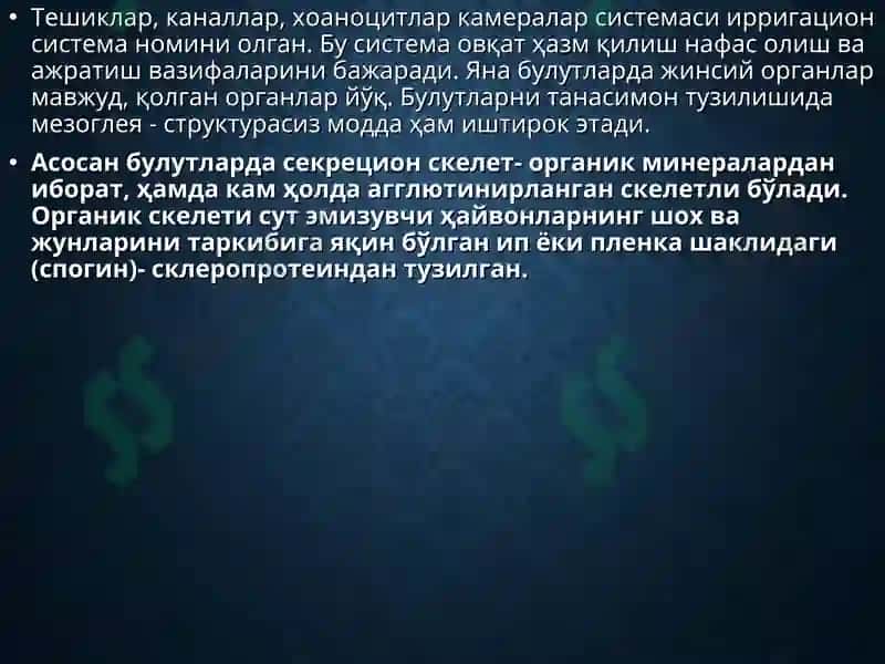 БУЛУТЛАР ТИПИ (Spongia) 5