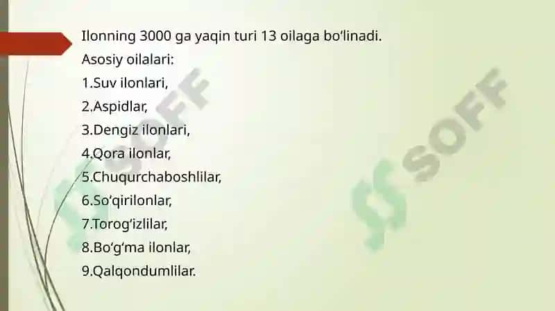 Sudralib yuruvchilar (Reptilia) sinfi 5