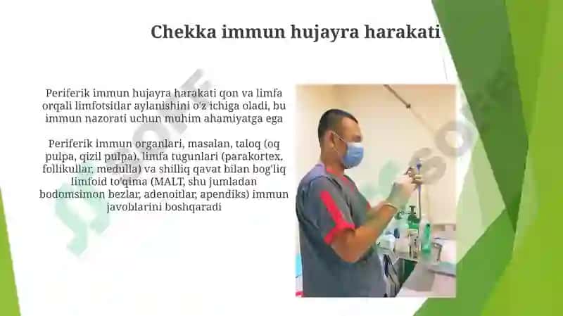 Immunitet tizimining periferik a'zolari 5