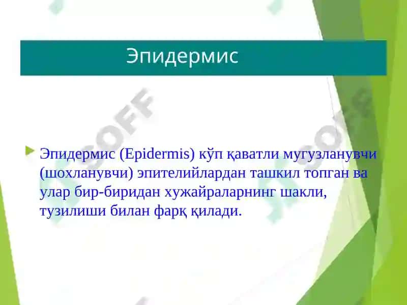 Дерматовенерология кафедраси 5