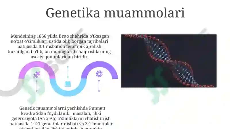 Monogibrid O'zaro Changlanishning Amaliy Ahamiyati 5