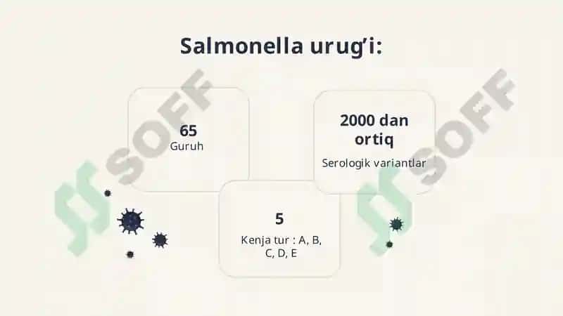 Qorin tifi va Paratif A va V 5