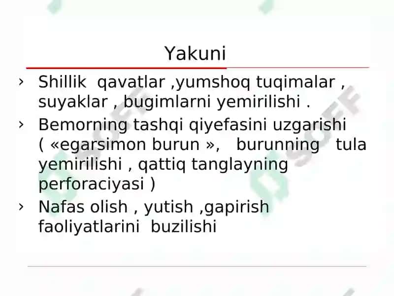 ZAHM 5
