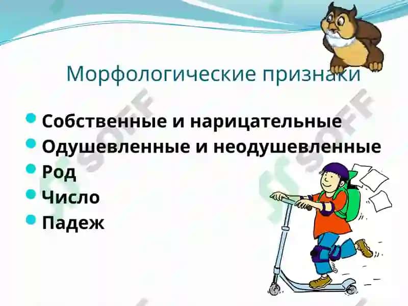 Имя существительное 5