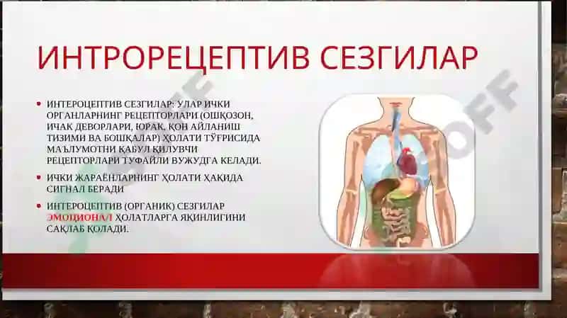 Сезгилар клаcсификацияси 5