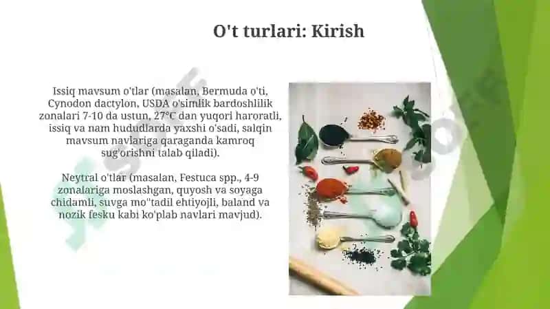 Sredniy rod. Otlarning 3 turlanishi 5