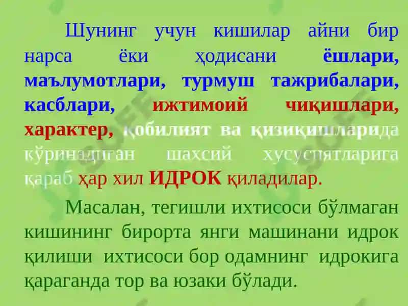 Идрок 5