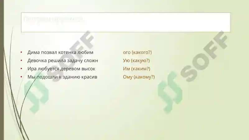 Имя прилагательное 5