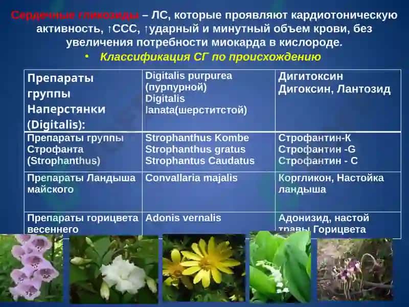 Кардиотонические лекарственные средства 5