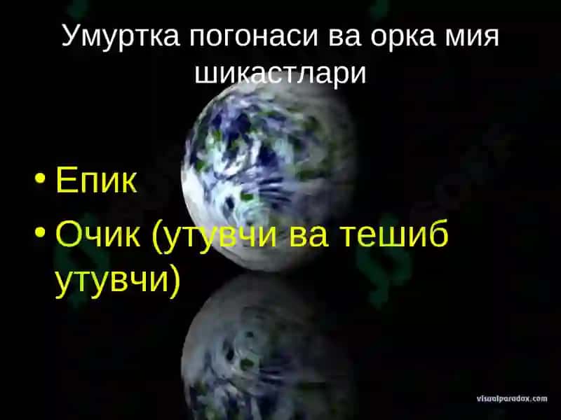 Умуртка погонаси ва орка мия шикастлари 5