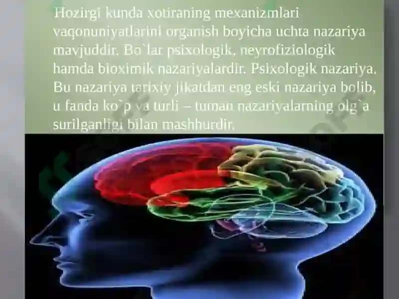 Xotira haqida tushuncha 5