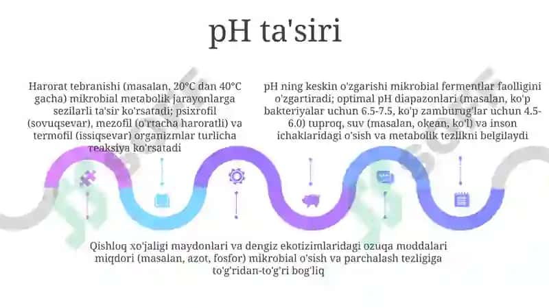 Tillo 5