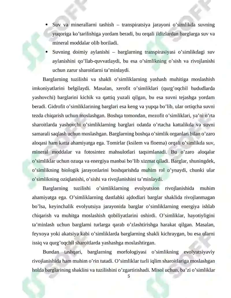 Barglarning Morfologik va Anatomik Tuzilishi 5