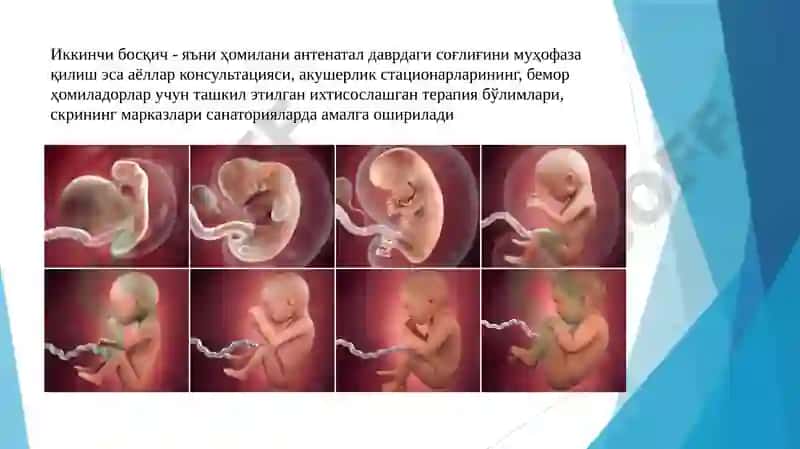 Оналик ва болаликнимуҳофазақилиш 5