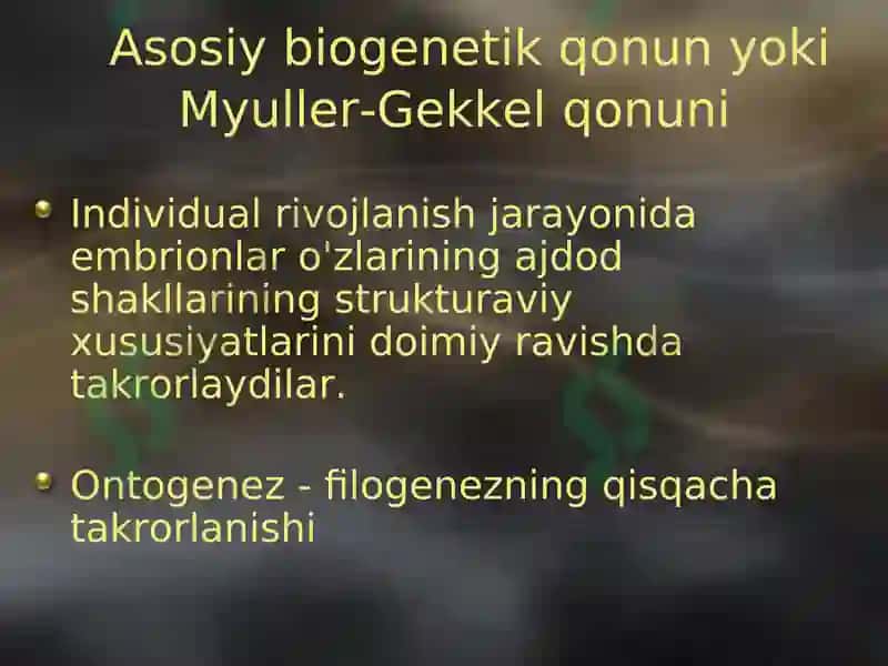 14-sonli ma’ruza 5