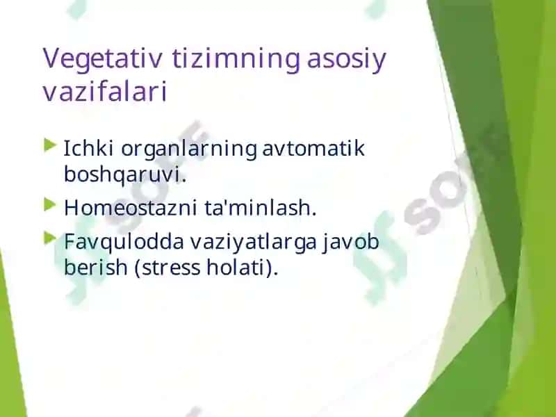Vegetativ Nerv Tizimi (VNT) 5