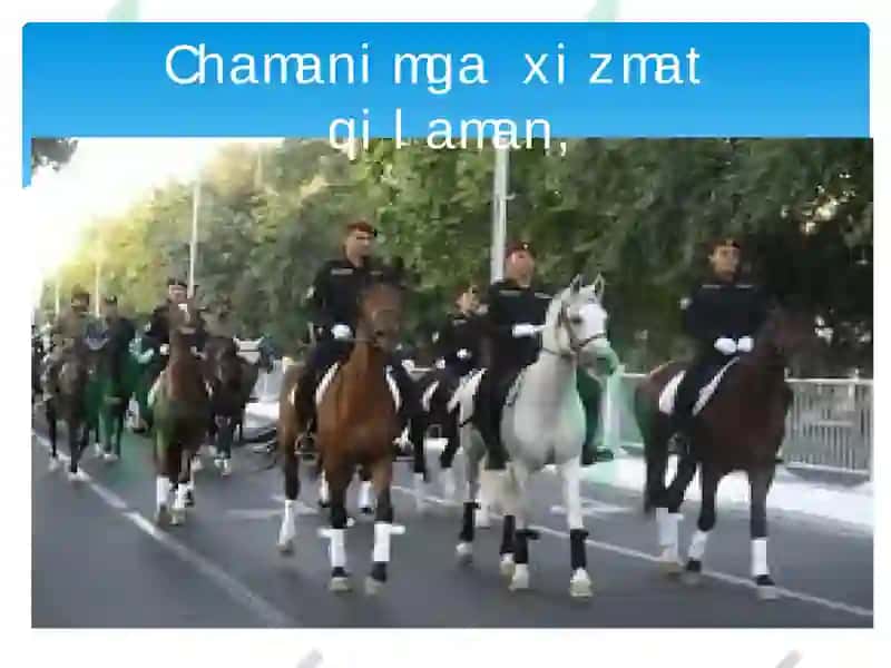 Vatanimga xizmat qilaman 5