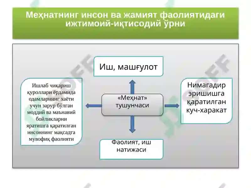 МЕҲНАТ ИҚТИСОДИЁТИ 5
