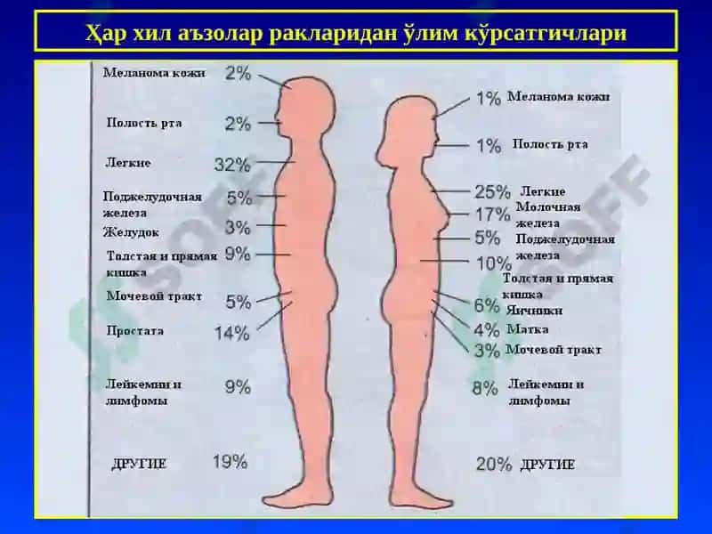 ПАТОЛОГИК АНАТОМИЯ 5