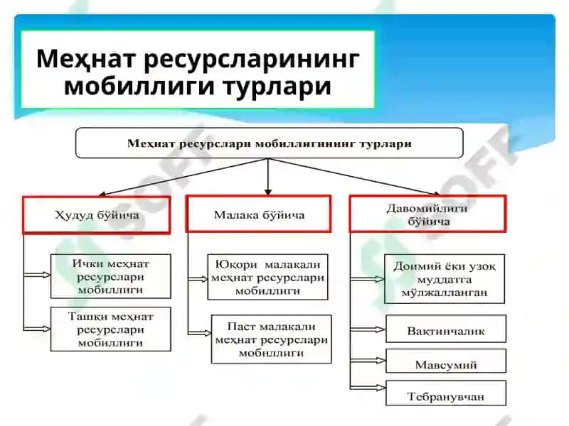 Меҳнатресурсларининг мобиллиги ва миграцияси 5