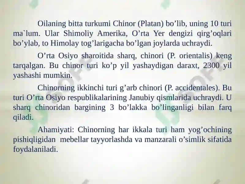 Temirdaraxt kabilarsinfchasi 5