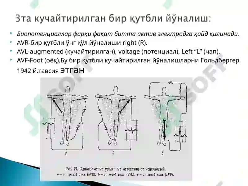Elektro-elektrik potensial 5