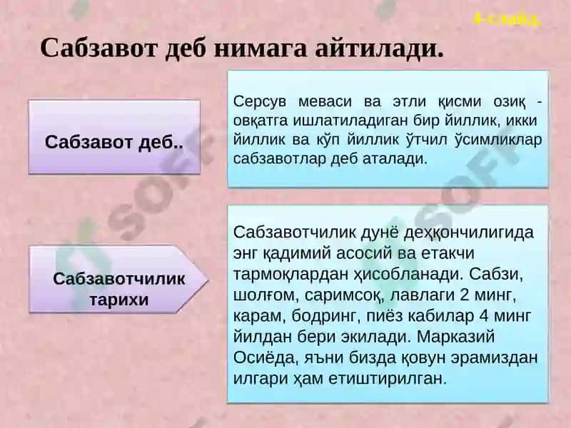 Сабзавотчилик фани 5