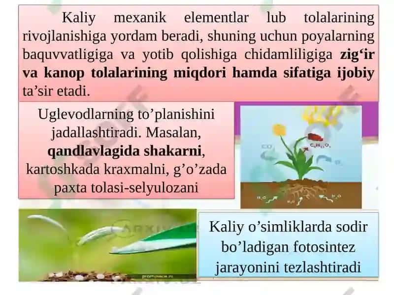 Kaliylivamurakkabo’g’itlar 5