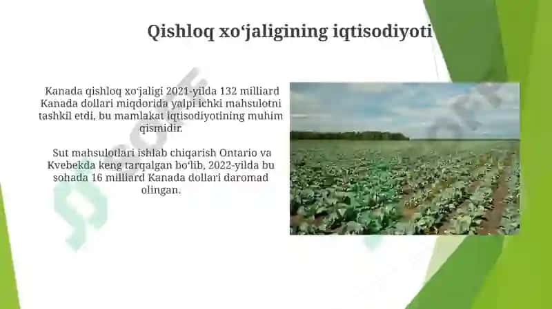 Kanada qishloq xo‘jaligi 5