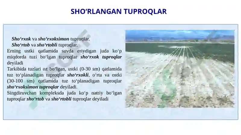 Sho‘rtob va sho‘rxok tuproqlar va ular tarkibidagi tuzlar 5