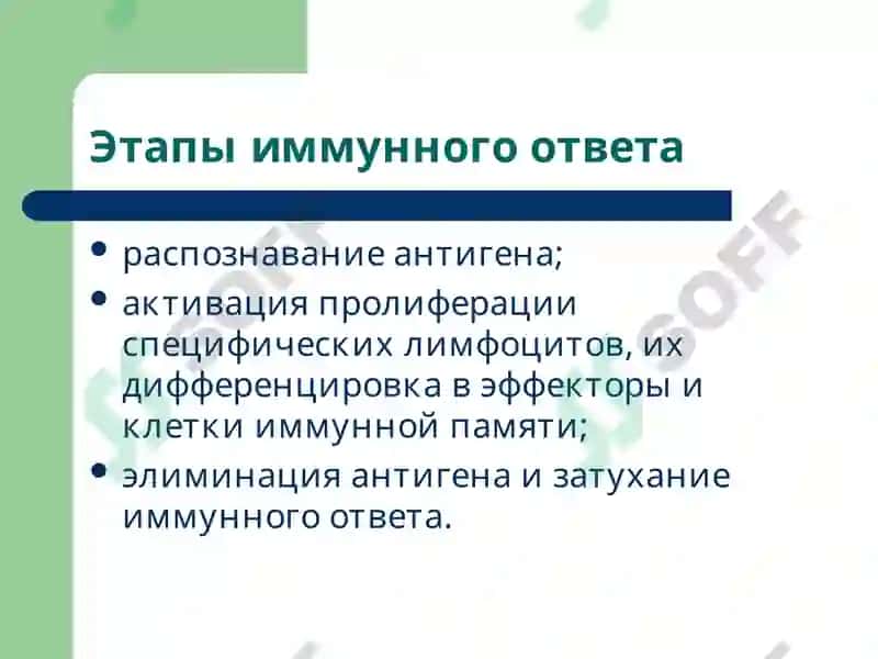 Лекция6 Патофизиология 5