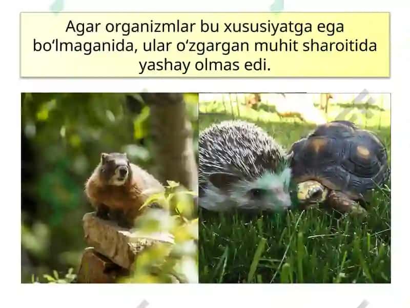 TIRIK ORGANIZMLARNING TA’SIRLANISHI 5