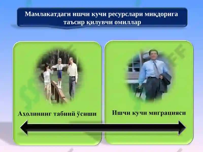 Ишчи кучи 5