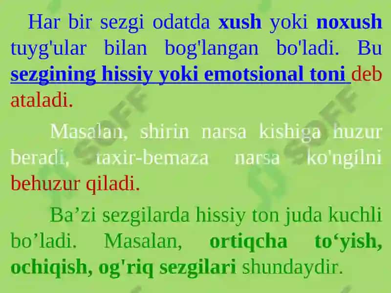 SEZGILAR TO'G'RISIDA UMUMIY TUSHUNCHA 5