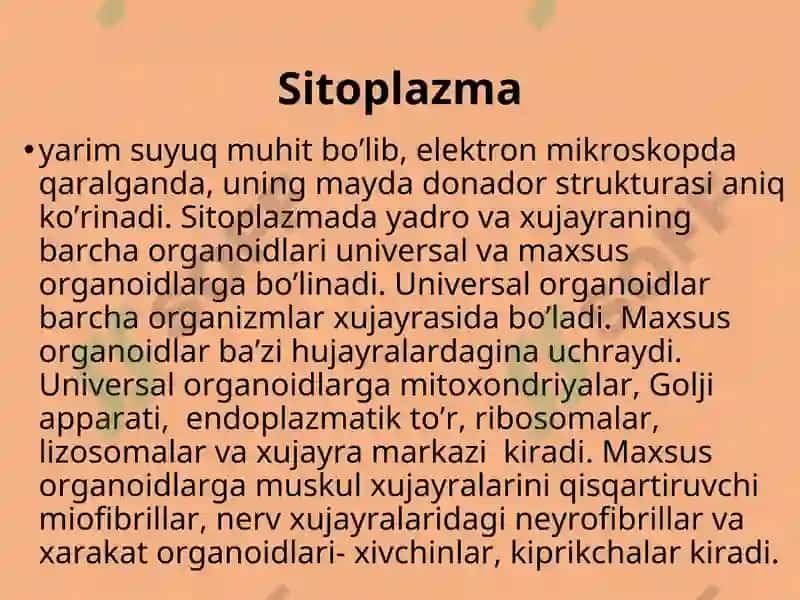 Hujayra Tuzilishi 5