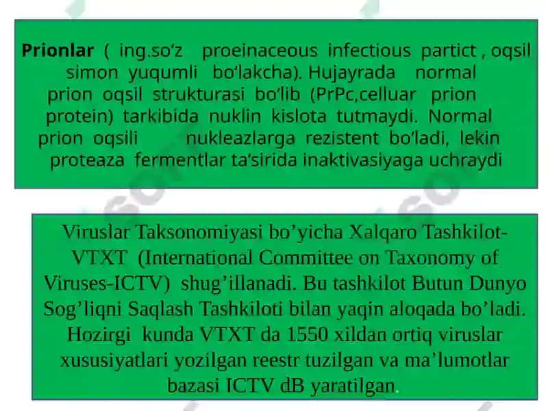 Virusologiya 5