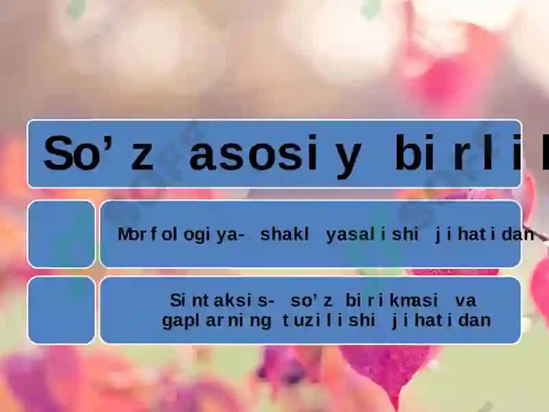 Ona til va adabiyot fanini o'qitish ta'limi 5