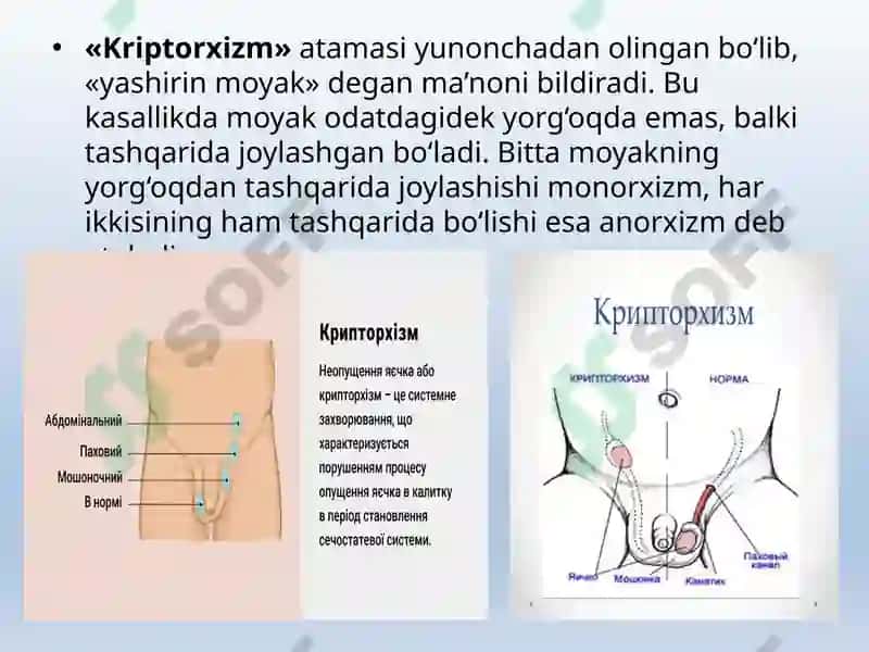 ERKAKLAR TANOSIL A`ZOLARI, AYOLLAR TANOSIL A`ZOLARI 5