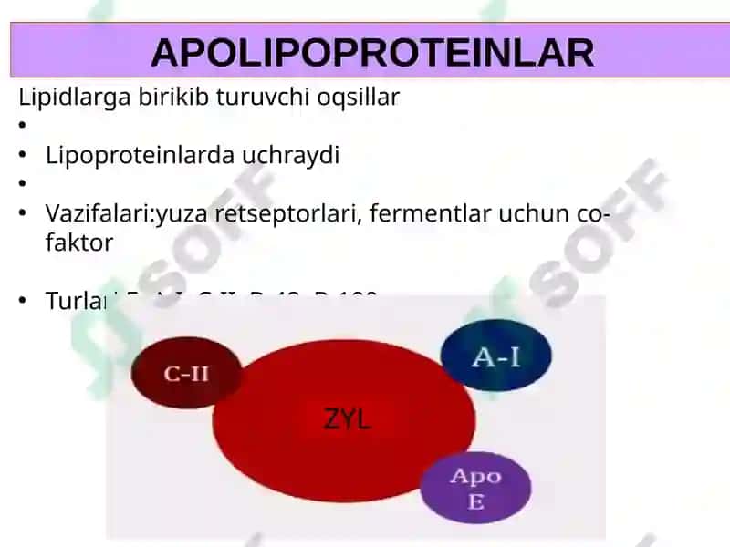 LIPIDLARNING METABOLIZMI 5