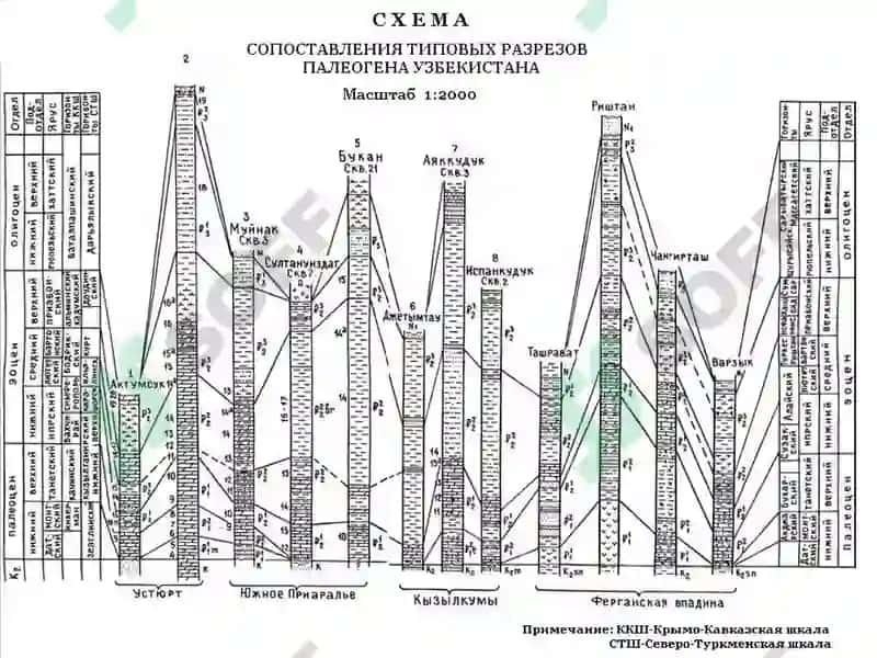 СТРАТИГРАФИЯНИНГ АСОСИЙҚОИДАЛАРИ 5
