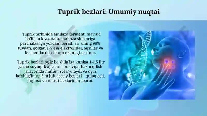 Tuprik Bezlarining Anatomiyasi 5