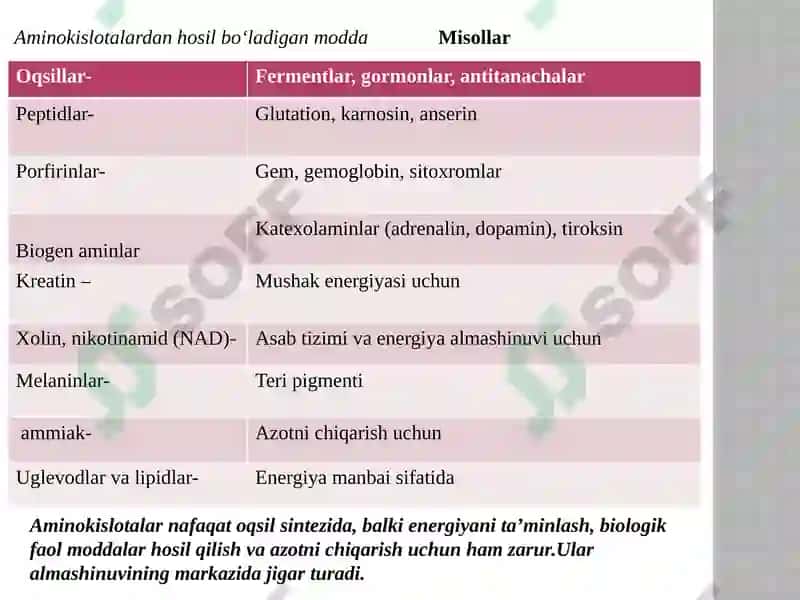 Aminokislotalarning safarbarlanishi 5